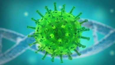 మంచిర్యాల కు పొంచి ఉన్న ప్రమాదం, issues with migrant workers