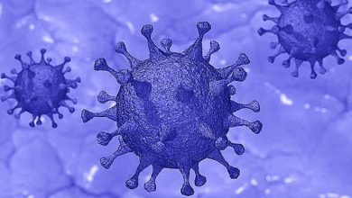 తెలంగాణలో పెరిగిన కరోనా వైరస్, COVID19 tally in Telangana state