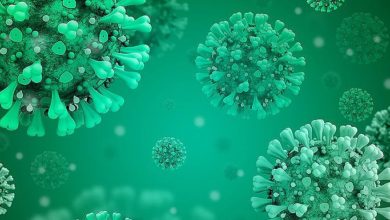 భారత్ లో కరోనా విలయతాడవం, Corona india tally