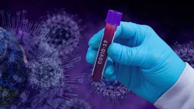 తెలంగాణలో కరోనా డేంజర్ బెల్స్, Telangana COVID19 cases tally