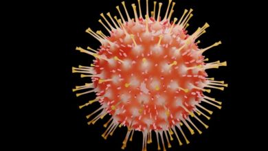 తెలంగాణలో కరోనా విలయతాండవం, COVID19 tally in Telangana