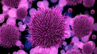 రాష్ట్రంలో భారీగా నమోదైన కరోనా కేసులు, COVID19 cases tally