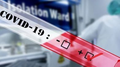 తెలంగాణలో తగ్గని కరోనా ఉదృతి, COVID19 total cases in Telangana state