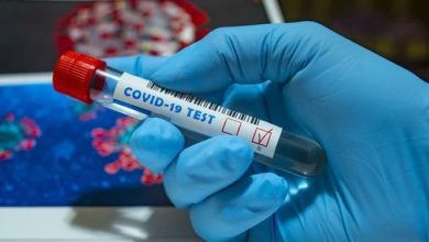 భారీగా నమోదైన కరోనా కేసులు, corona tally in Telangana state