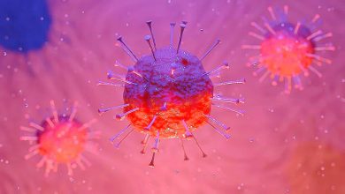 తెలంగాణలో కరోనా ఉగ్ర రూపం, COVID19 cases raising in Telangana