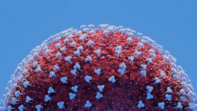 తెలంగాణలో కరోనా విలయతాండవం, Telangana COVID19 updates