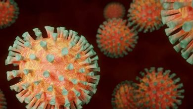 తెలంగాణ పై కరోనా వైరస్ పంజా, Telangana COVID cases