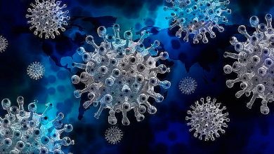 తెలంగాణలో కరోనా విలయతాడవం, Coronavirus Telangana cases