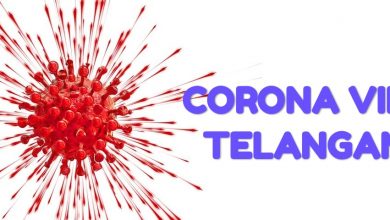 తెలంగాణలో పెరిగిన కరోనా వైరస్, TS coronavirus tally