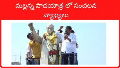 మల్లన్న పాదయాత్ర లో సంచలన వ్యాఖ్యలు, Teenmar mallana comments